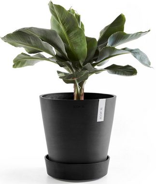 ECOPOTS Topfuntersetzer mit Rollen 60 Dunkelgrau, Zubehör für Ecopots Pflanzgefäße, für innen und außen: frostsicher, bruchsicher und lichtbeständig