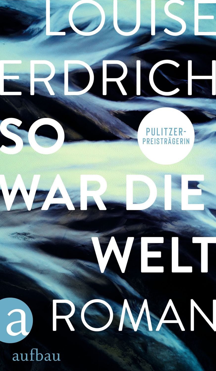 So war die Welt Roman / Louise Erdrich, Roman, X