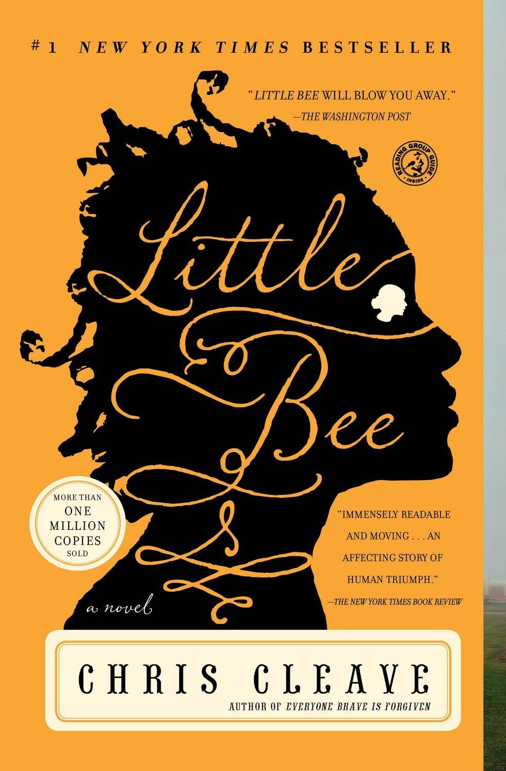 Little Bee / Chris Cleave