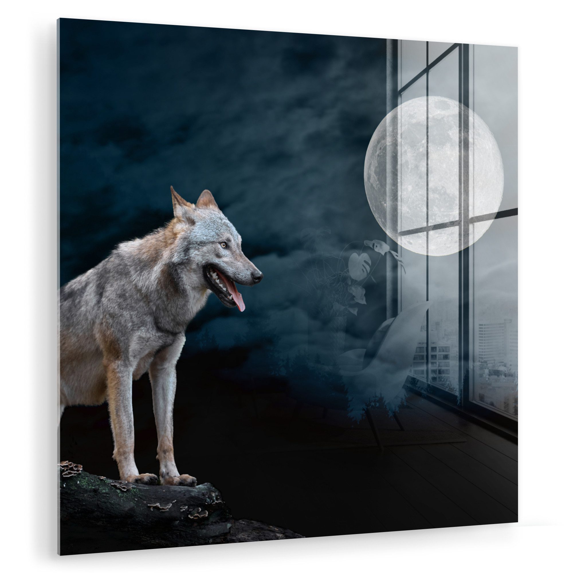 MuchoWow Acrylglasbild Wolf - Mond - günstig online kaufen