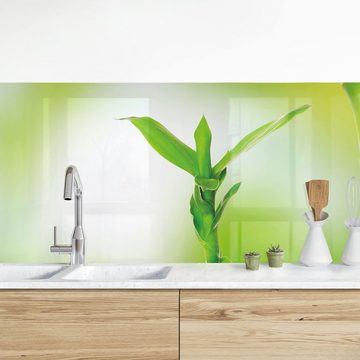 Bilderdepot24 Küchenrückwand grün dekor Blumen Wandpaneel Küche Grüner Bambus Wandverkleidung, (1-tlg., Nischenrückwand - für Fliesenspiegel ohne Bohren - matt), Spritzschutz Rückwand Küche Herd - Folie selbstklebend versch. Größen