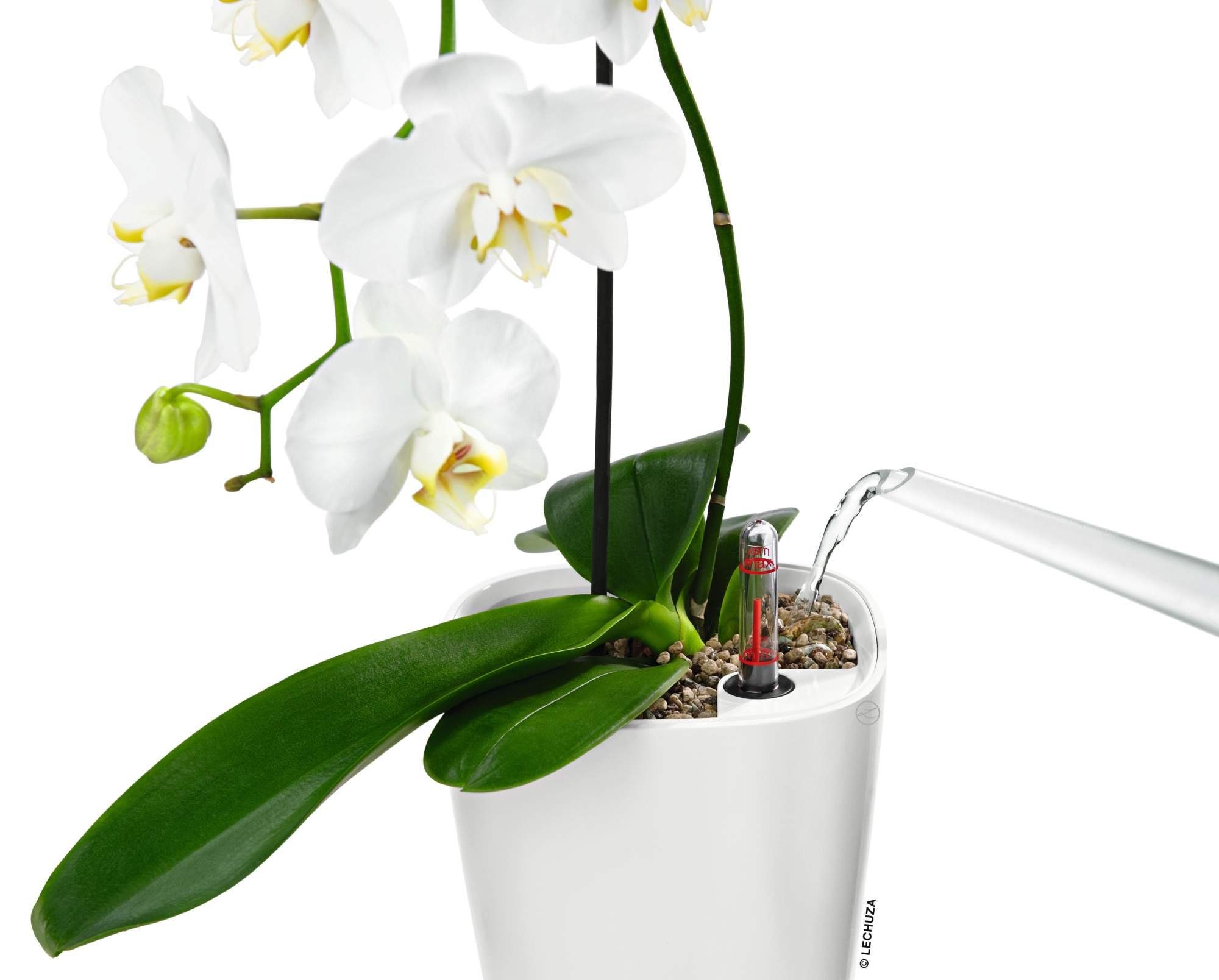 Lechuza® Blumentopf Deltini - weiß AIO Komplettset hochglanz (1 St)