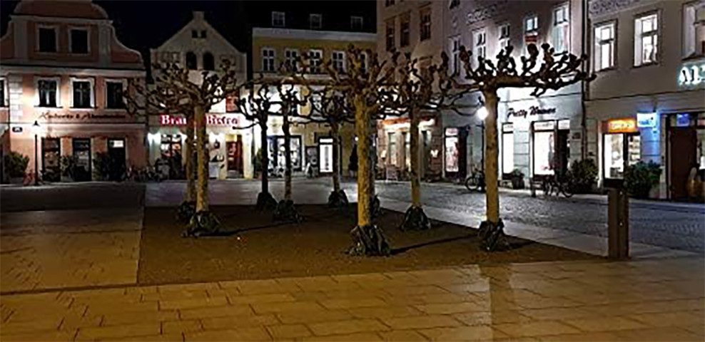 Alpha Thermotec Bewässerungssystem Treegator® grün, (1-tlg)