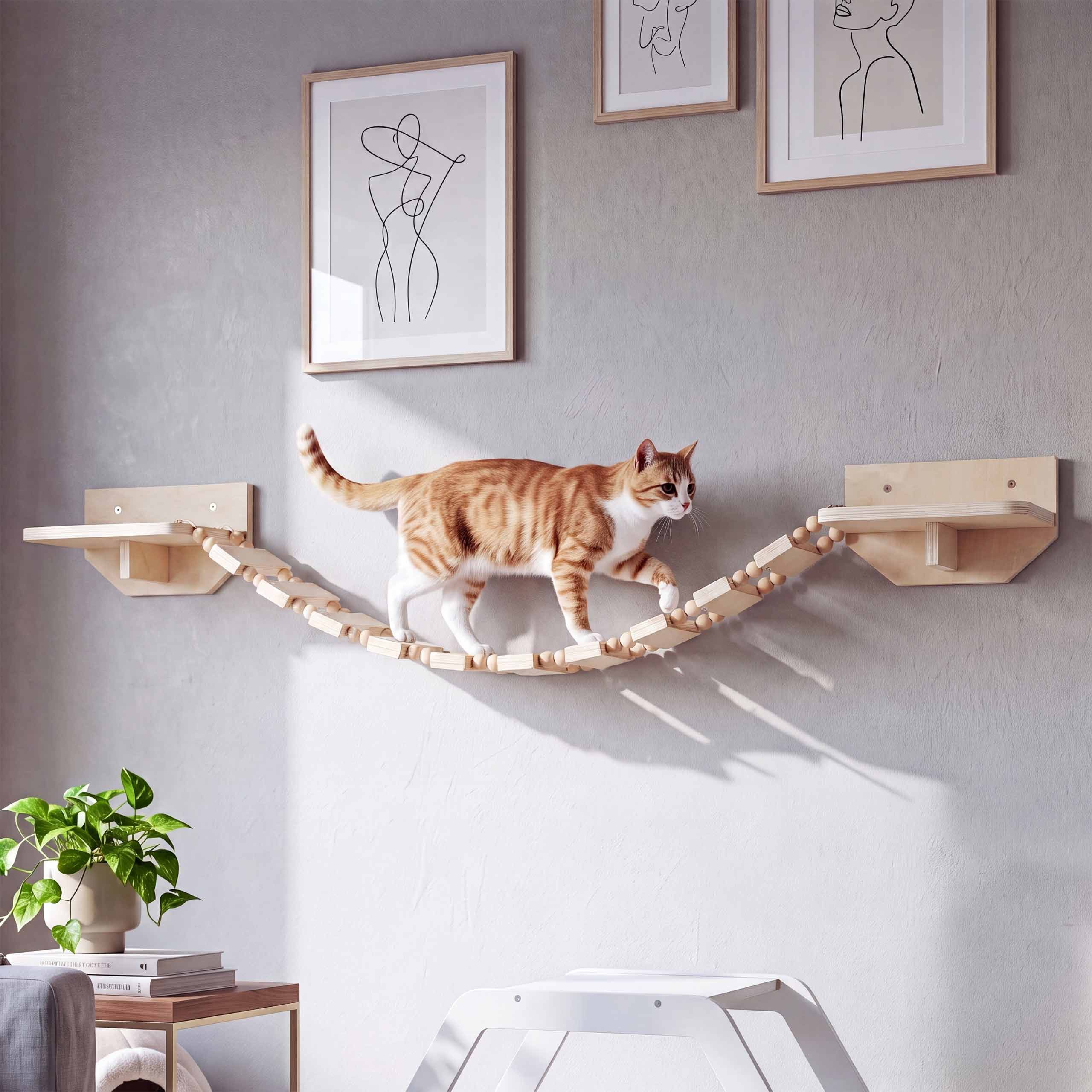 Wandkatzenbett 55 Cm RshPets Wand-Katzenbett Mit Kissen & 2 Dekokissen – Wandregal Aus Birkensperrholz 55x35 Cm, Mit Sisalkante, Belastbar Bis 15 Kg, Hell – Für Große Katzen Oder 2 Tiere
