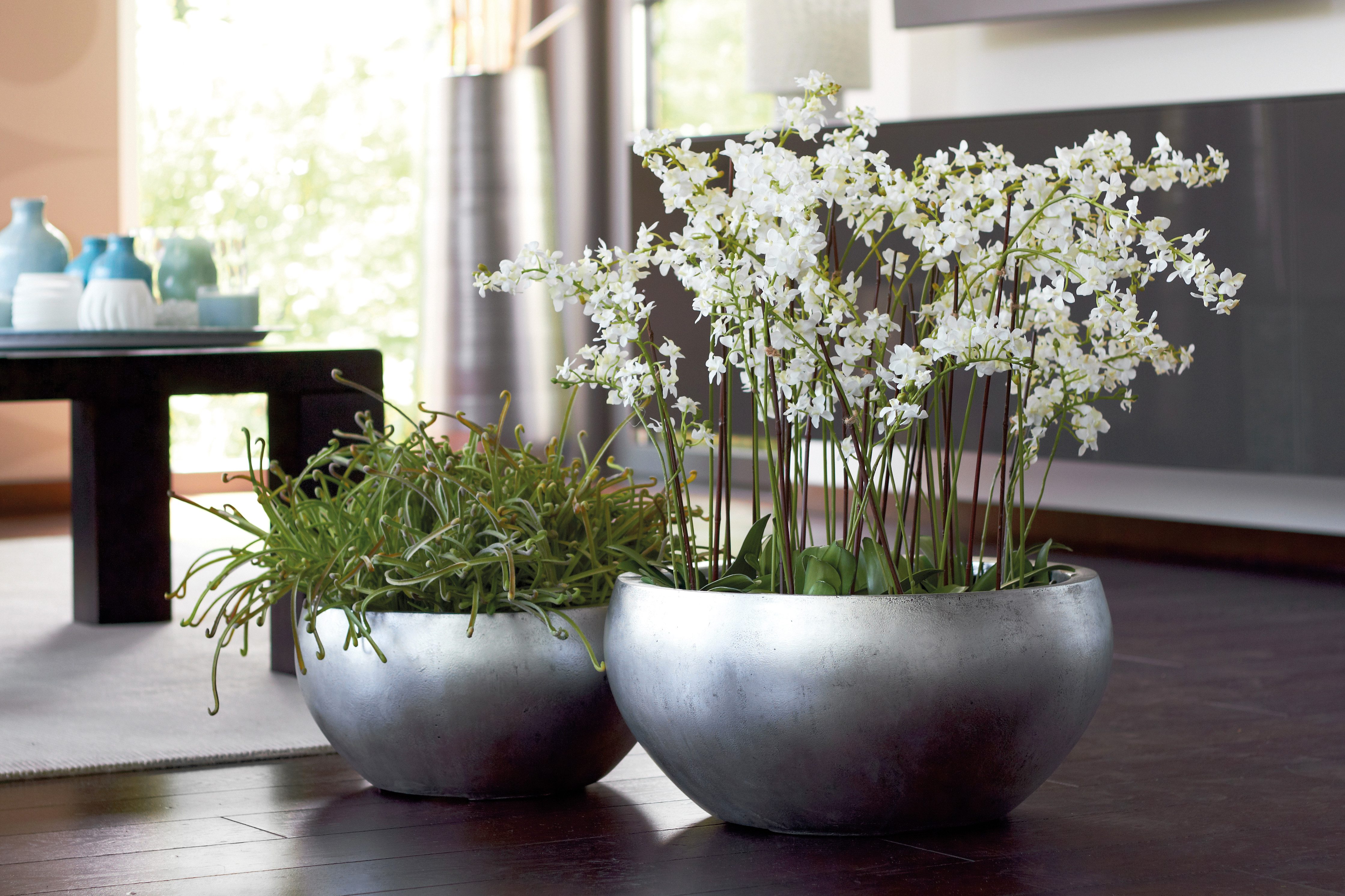 Flingora Pflanzschale Alodie, Fiberglas - Indoor - Silber - Ø 50 cm günstig online kaufen