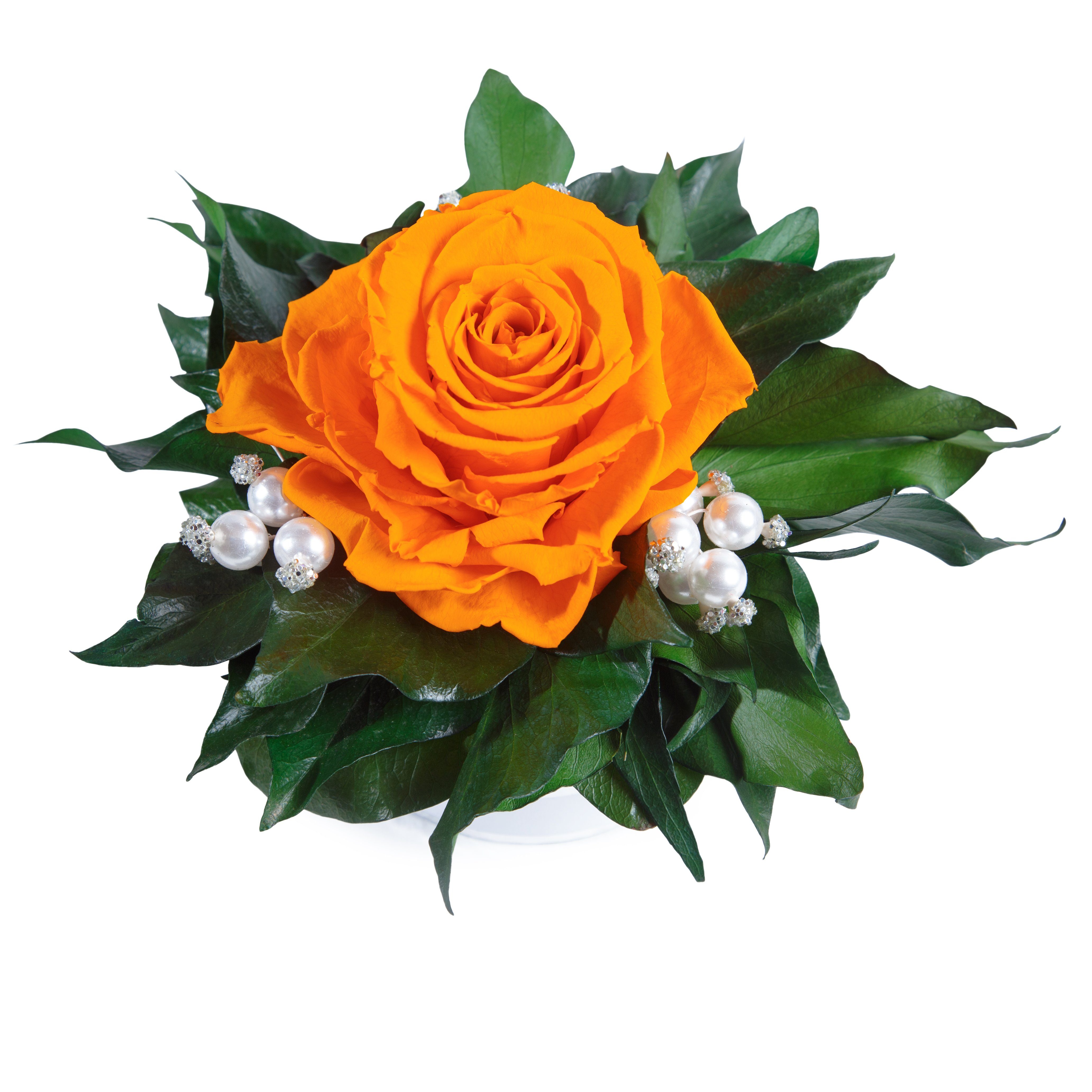 Kunstblume Infinity Rosenbox Diamonds and Pearls 1 infinity Rose Rose, ROSEMARIE SCHULZ Heidelberg, Höhe 10 cm, echte Blume die lange hält, Made in Germany
