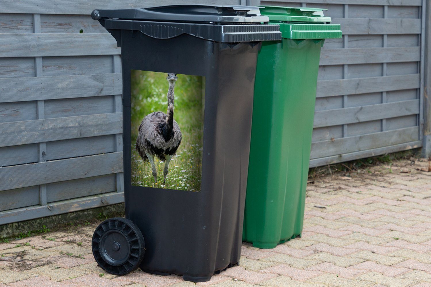 MuchoWow Wandsticker Ein Nandu (1 Ebene Abfalbehälter schaut auf Sticker, Mülltonne, in Kamera Mülleimer-aufkleber, grünen Container, die St), einer