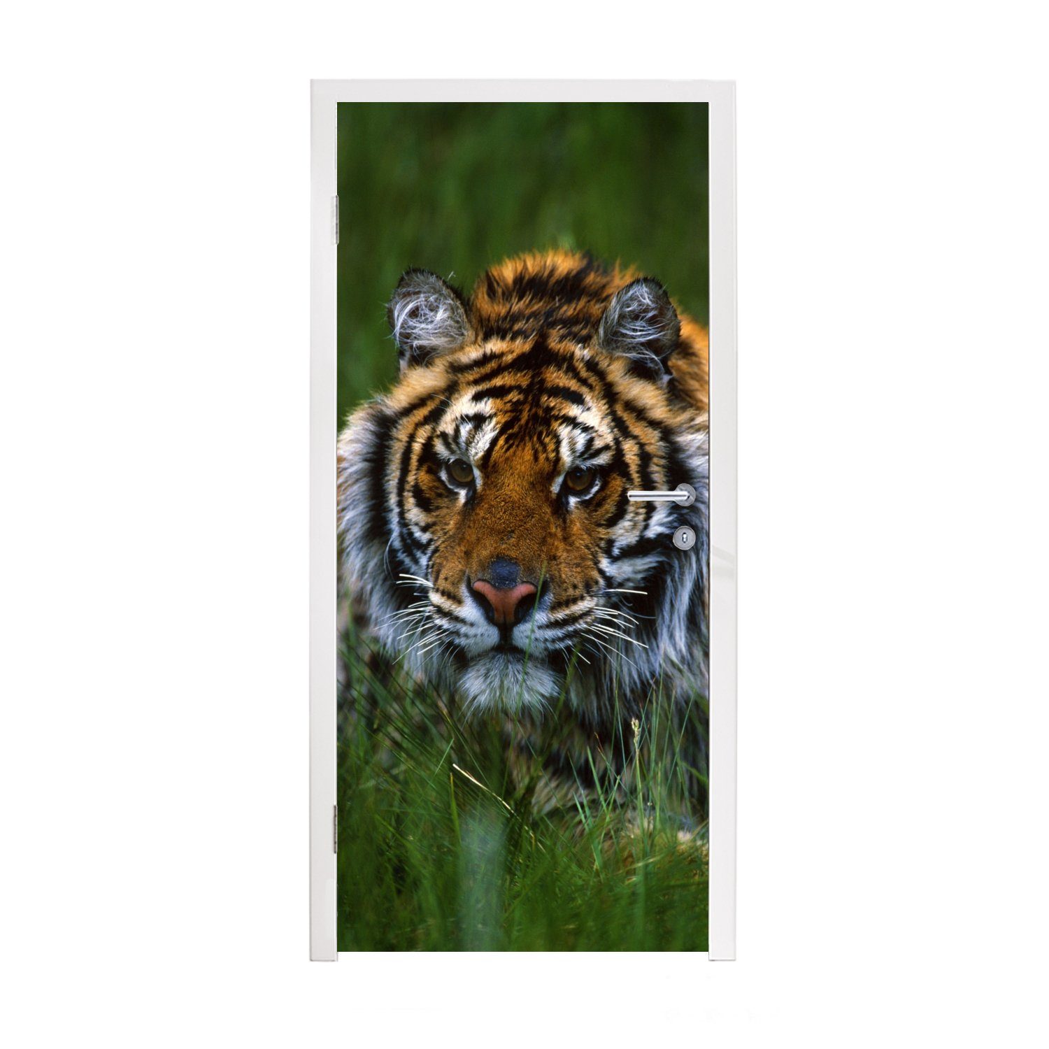 MuchoWow Türtapete Sibirischer Tiger im Gras versteckt, Matt, bedruckt, (1 St), Fototapete für Tür, Türaufkleber, 75x205 cm