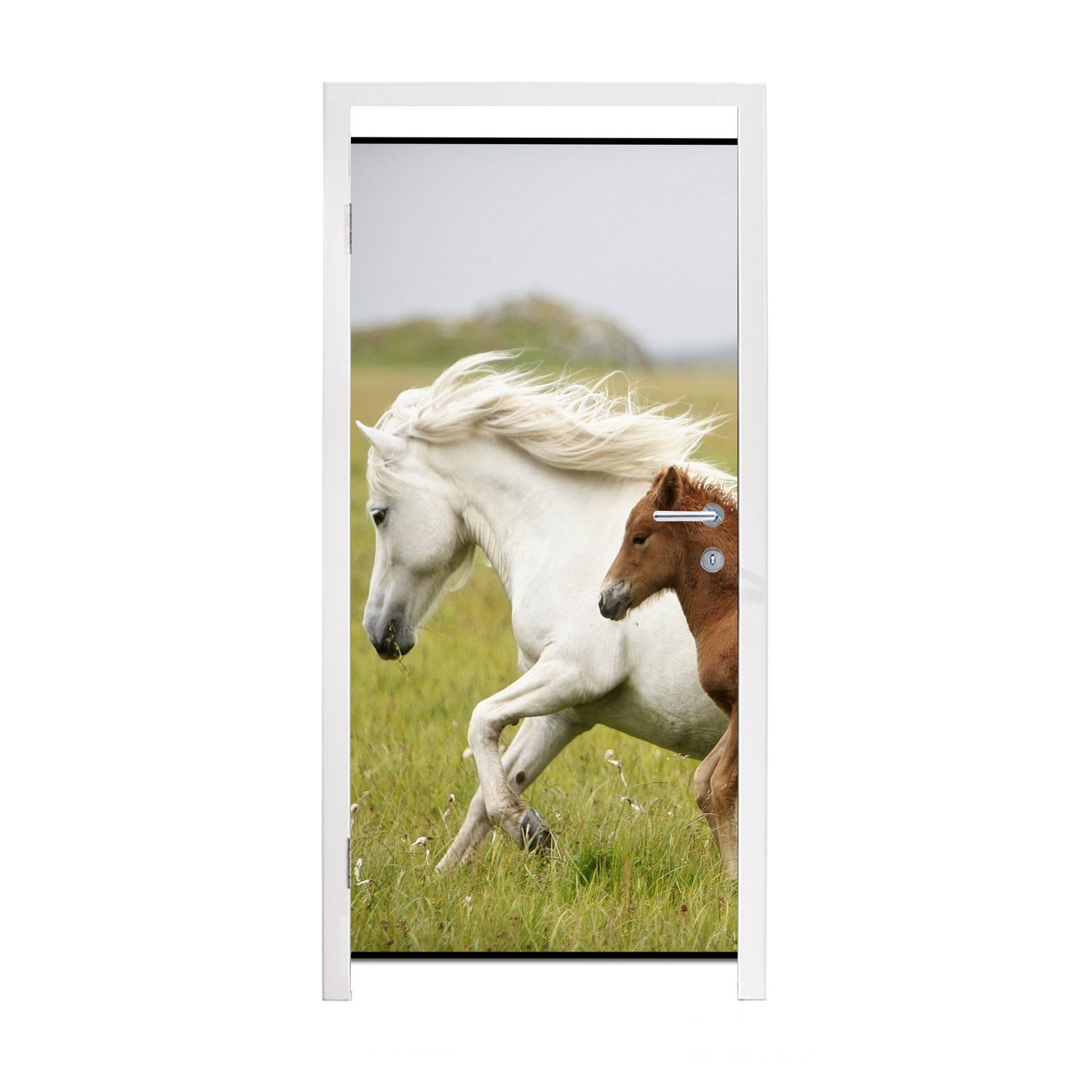 MuchoWow Türtapete Pferde - Tiere - Gras, Matt, bedruckt, (1 St), Fototapete für Tür, Türaufkleber, 75x205 cm | Türtapeten