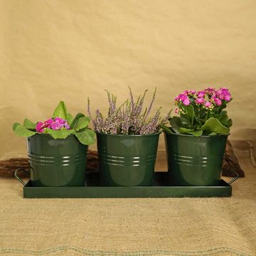 Mary's Garden Supplies Blumentopf Metalltablett mit 3 Töpfen Mary's Garden Supplies, 52 cm, Farbe grün