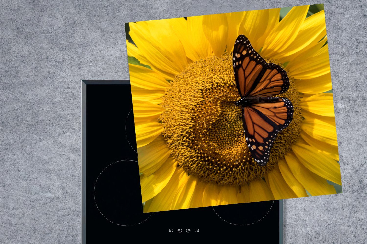 (1 - küche Frühling, Sonnenblume 78x78 tlg), MuchoWow Arbeitsplatte Herdblende-/Abdeckplatte - Schmetterling cm, für Ceranfeldabdeckung, Vinyl,