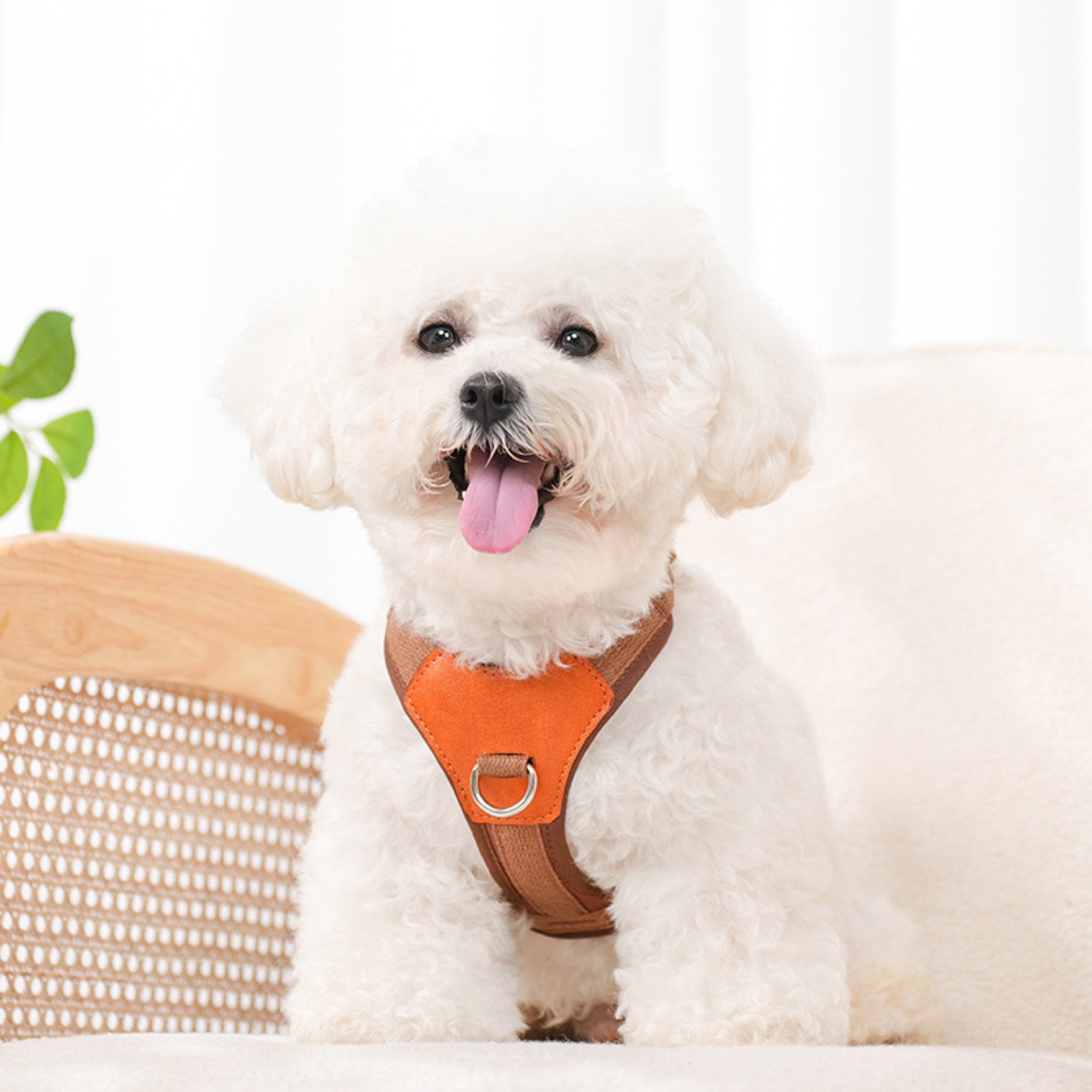 BYSURE Hunde-Geschirr, Hundegeschirr für kleine Hunde günstig online kaufen