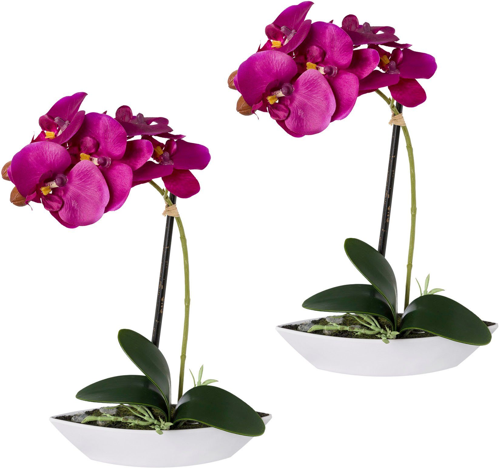 Kunstorchidee Phalaenopsis, Höhe 2er in 30 Kunststoffschale green, Creativ lila Set, cm