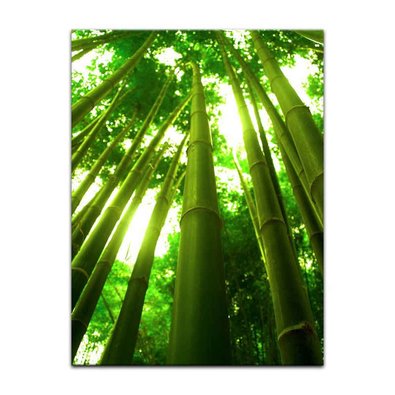 Bilderdepot24 Leinwandbild Bambus in Thailand, Pflanzen
