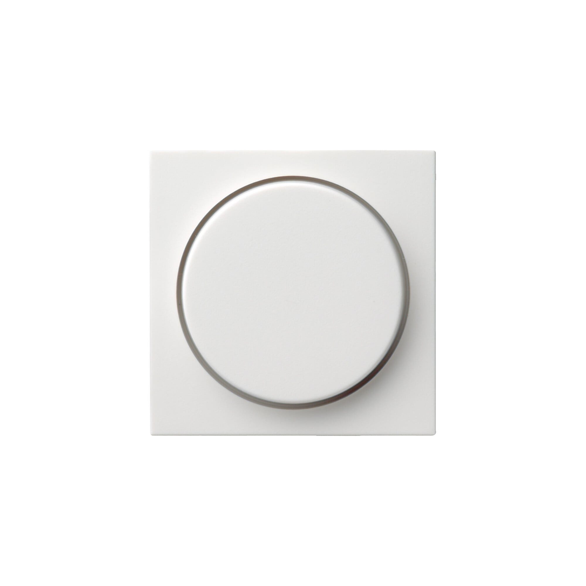 GIRA Gira Abdeckung rws-gl f.Drehdimmer 065003 Installationskabel