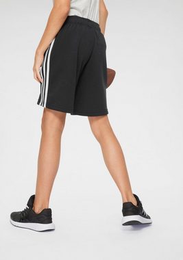 adidas Originals Shorts SHORTS (1-tlg)