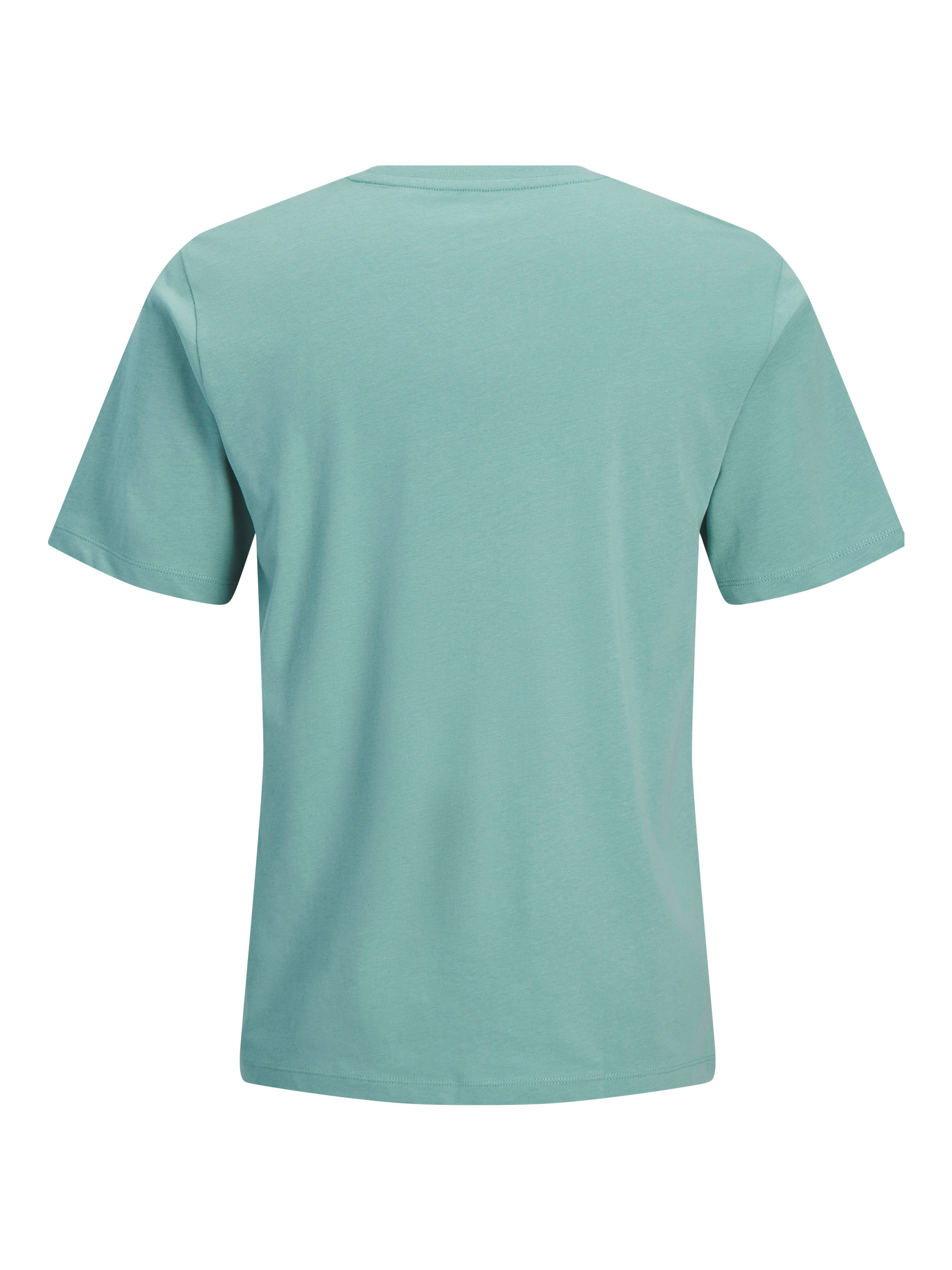 Jack & Jones PlusSize Rundhalsshirt JJCOLE PRINT TEE SS CREW NECK PLS günstig online kaufen