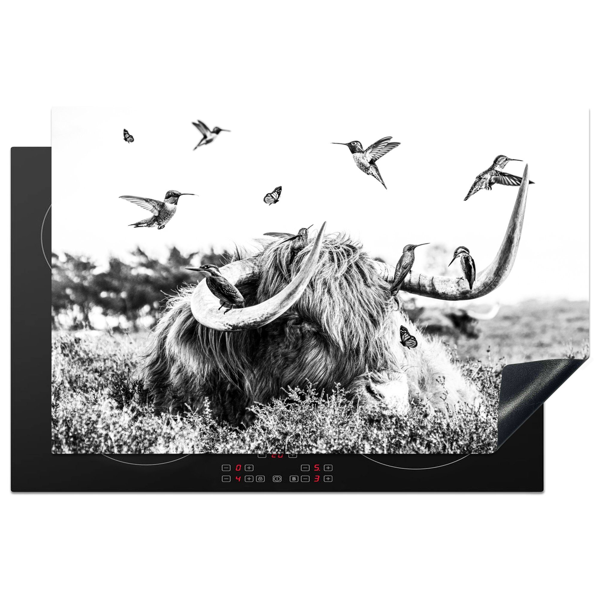 MuchoWow Herdblende-/Abdeckplatte Highlander Vogel die für Induktionskochfeld tlg), 81x52 küche, - Schwarz Schottischer cm, Vinyl, - - Weiß, Ceranfeldabdeckung Schutz (1