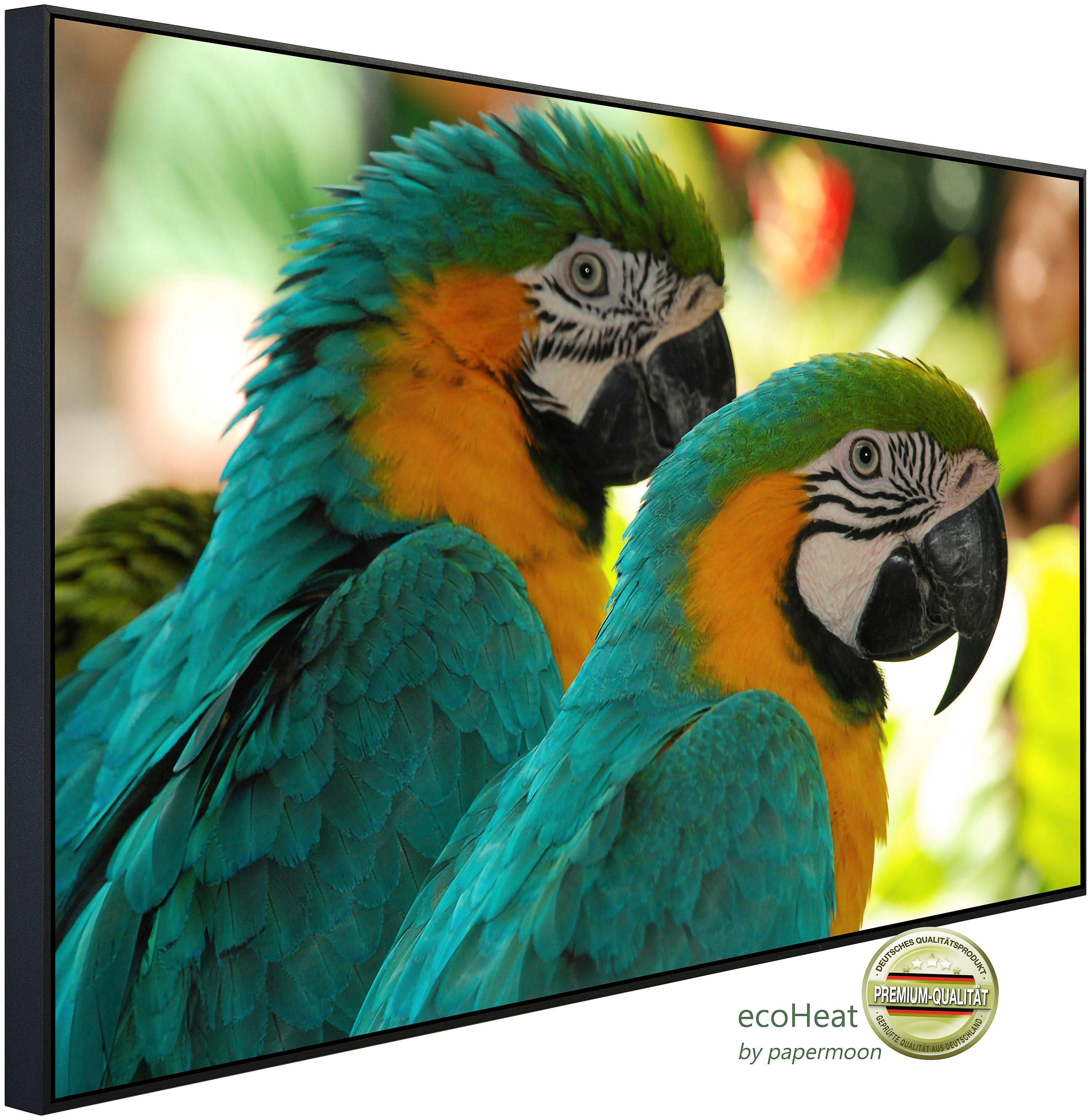 Infrarotheizung Ara Liebesvögel