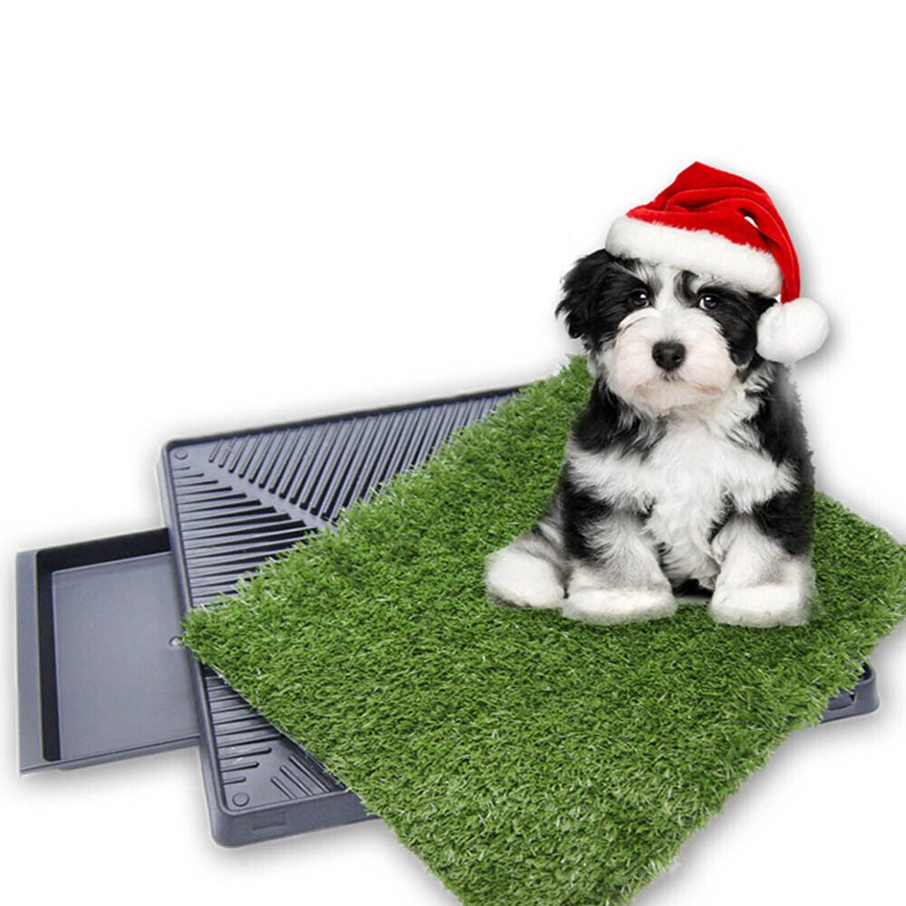 Youyijia Hundetoilette Hundetoilette, Welpentoilette Wiederverwendbar Training Pee Pads