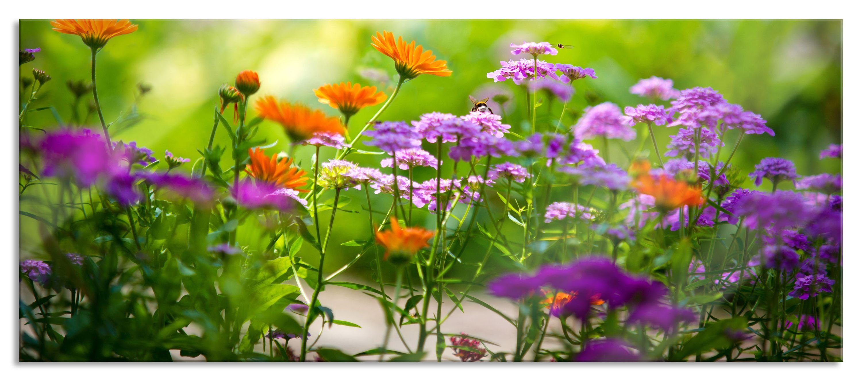 Pixxprint Glasbild Blumenwiese, Blumenwiese (1 St), Glasbild aus Echtglas, inkl. Aufhängungen und Abstandshalter