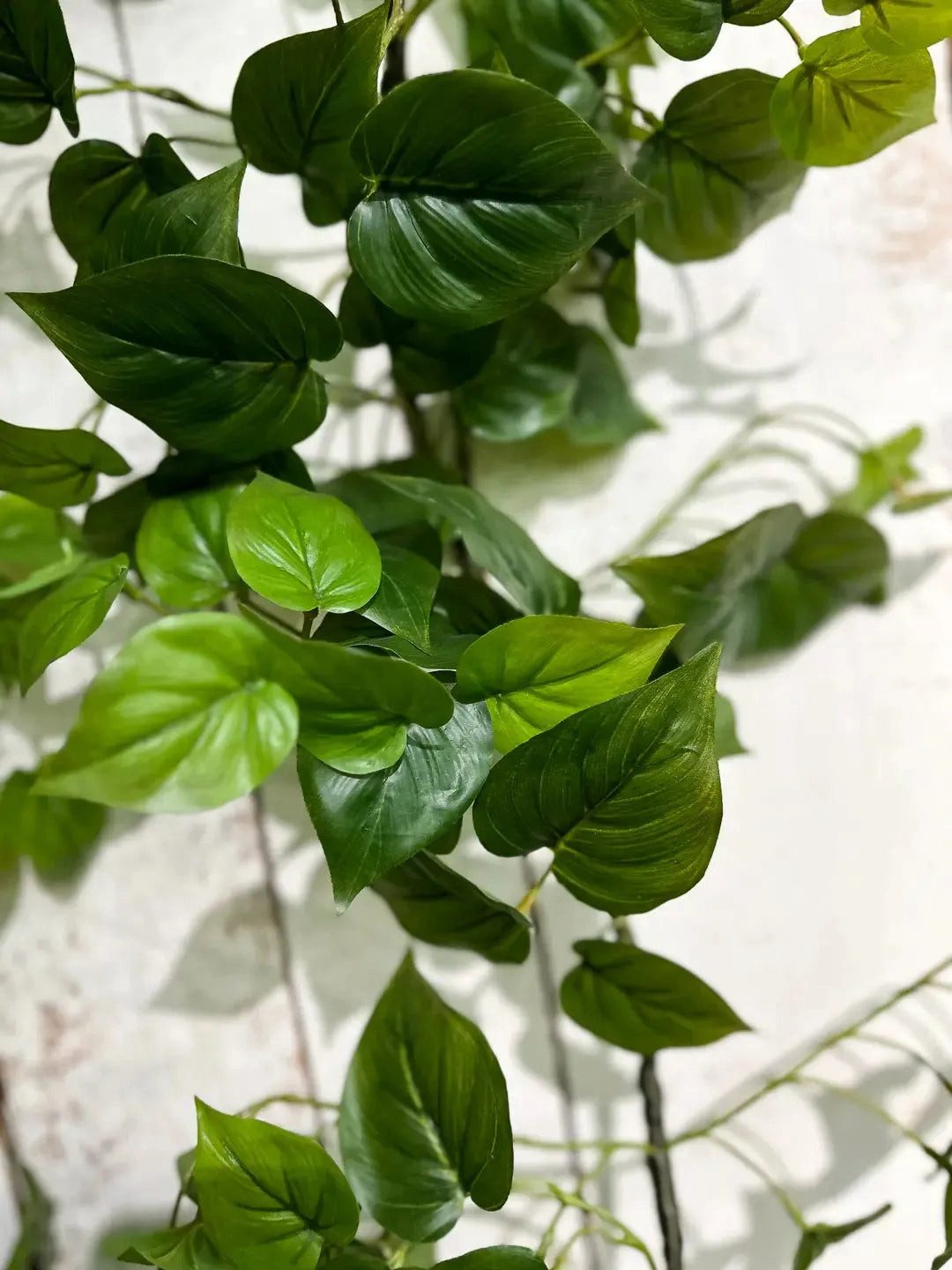 Kunstpflanze Künstliche Monstera Girlande - Beatrice, günstig online kaufen
