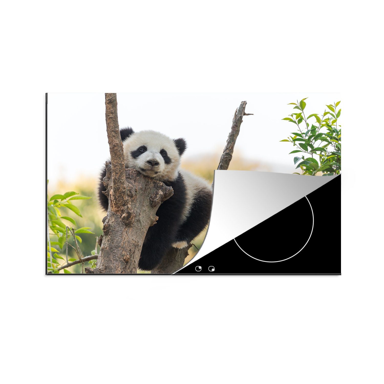 MuchoWow Herdblende-/Abdeckplatte Panda - Baum - Blätter, Vinyl, (1 tlg), 81x52 cm, Induktionskochfeld Schutz für die küche, Ceranfeldabdeckung