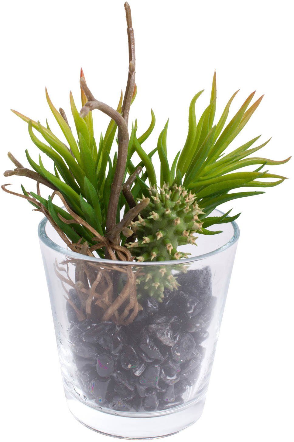 Künstliche Zimmerpflanze Sukkulenten Arrangement im Glas, günstig online kaufen
