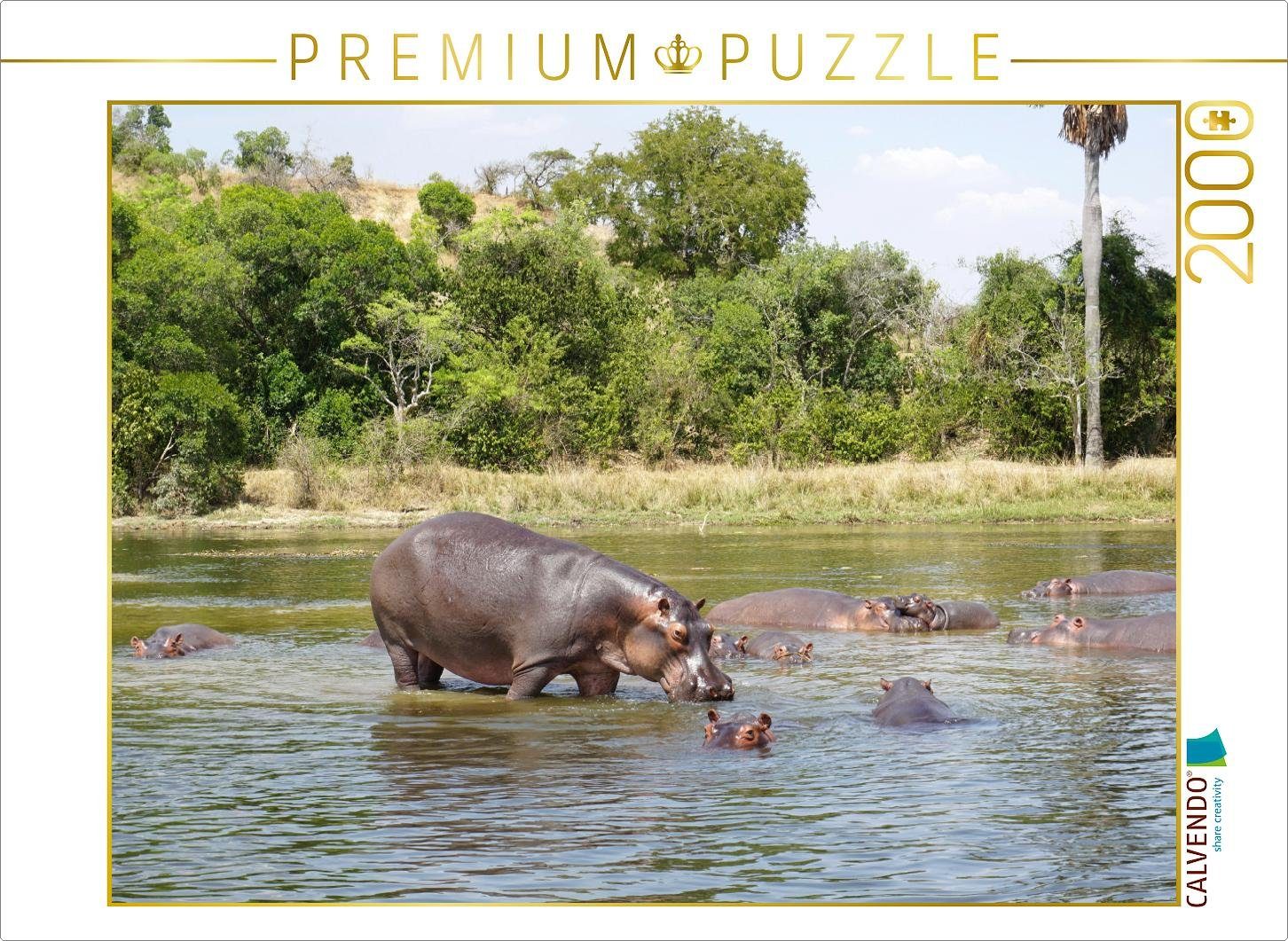Puzzle CALVENDO Puzzle Flusspferde 2000 Teile Lege-Größe 90 x 67 cm Foto-Puzzle Bild von Flori0