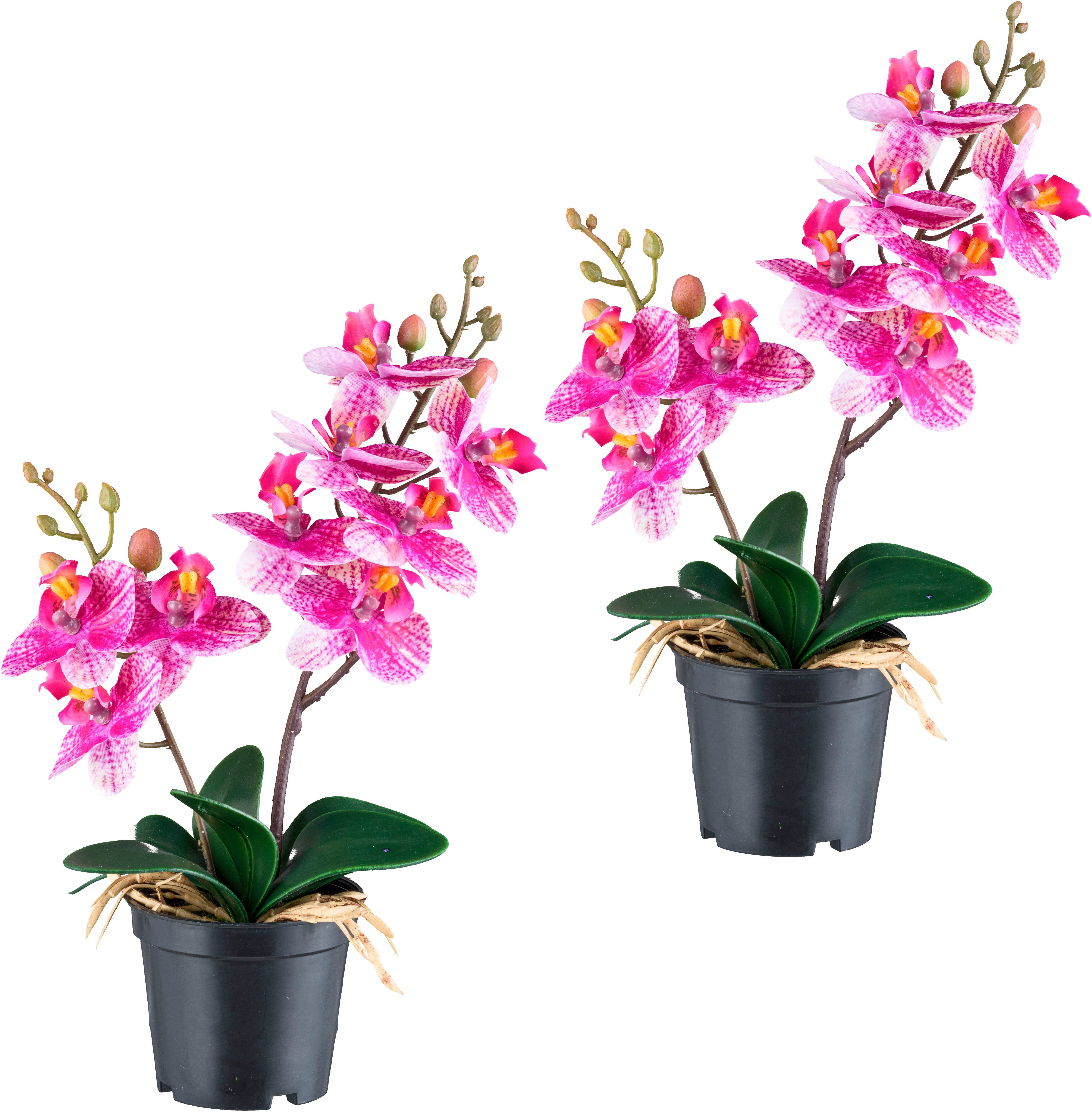 Kunstorchidee Orchidee Phalaenopsis, Creativ green, Höhe 28 cm, mit real-touch-Blüten