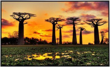 Papermoon Infrarotheizung Baobabs Bäume Afrikanischer Sonnenuntergang, sehr angenehme Strahlungswärme