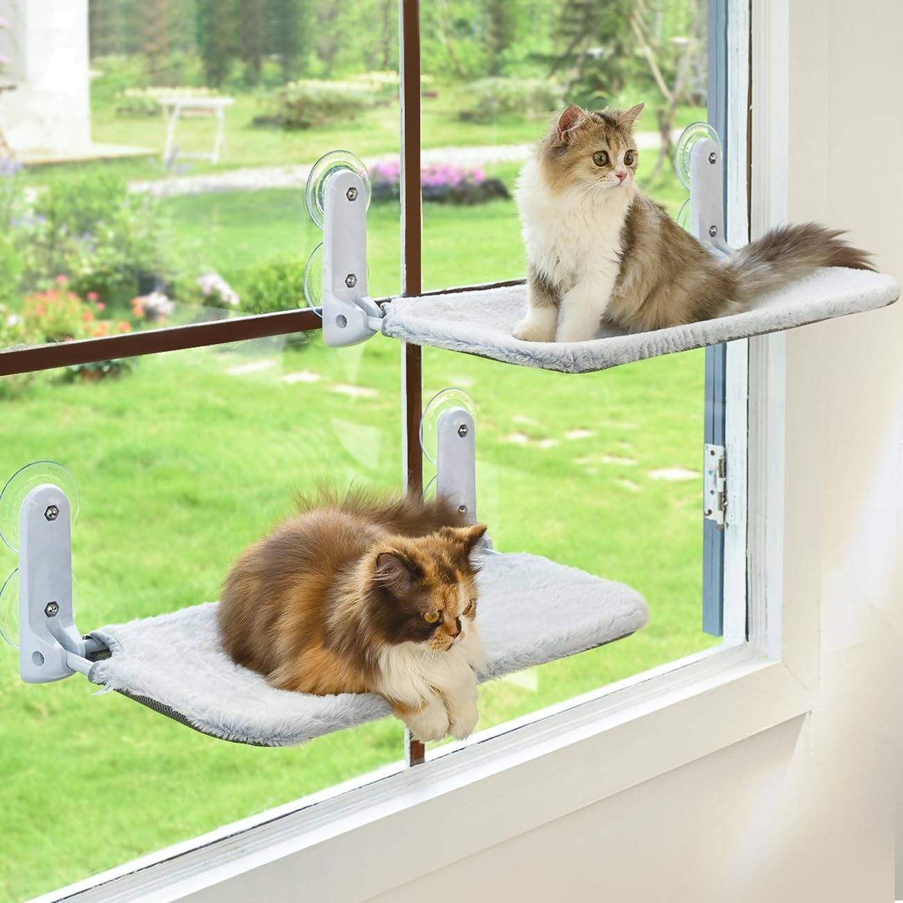FOUORTUNATE-BEE Katzen-Hängematte Katzen Hängematte Fensterplätze für günstig online kaufen