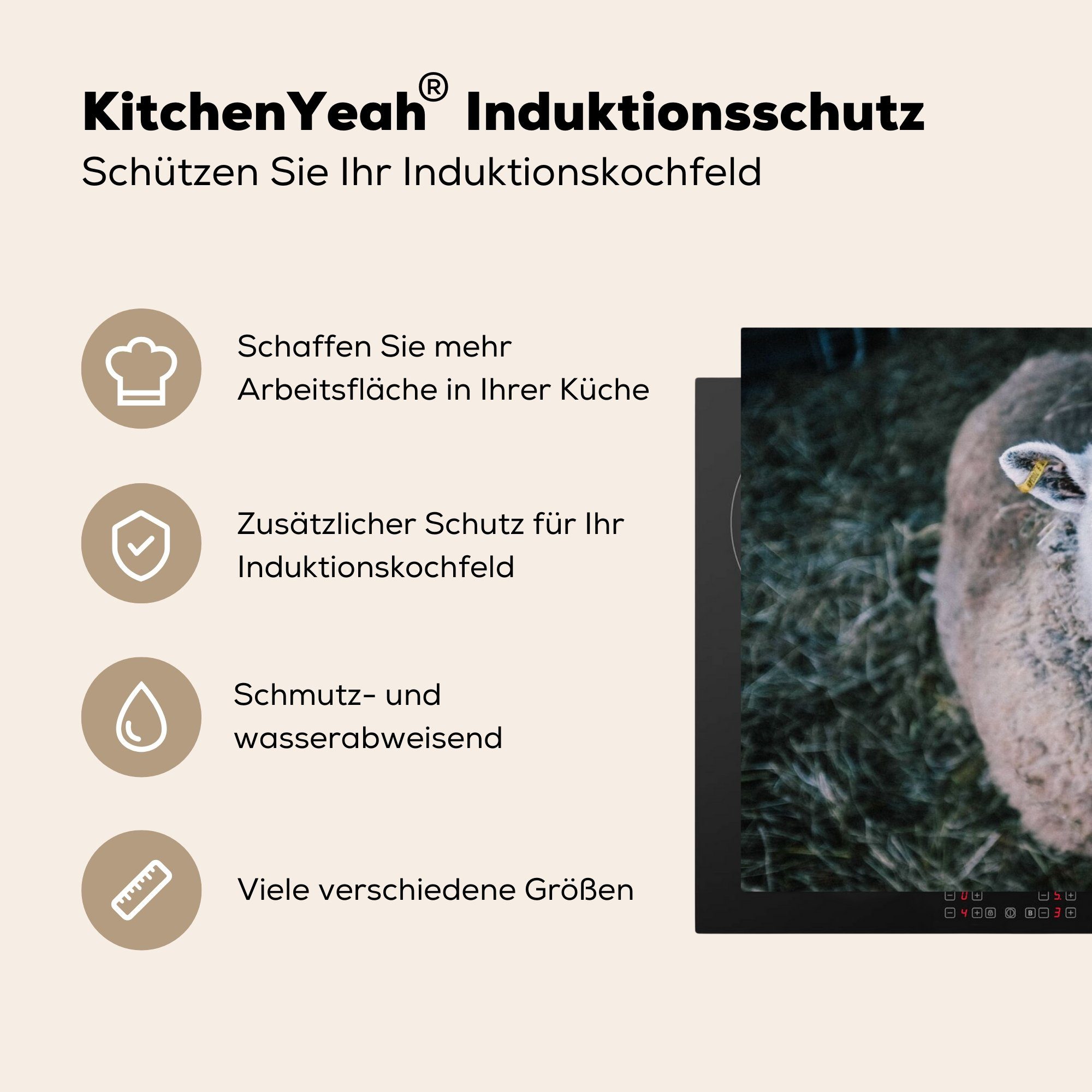 - Vinyl, - tlg), 81x52 Arbeitsplatte für küche MuchoWow Tiere Schafe Rinder, (1 Ceranfeldabdeckung, cm, Herdblende-/Abdeckplatte