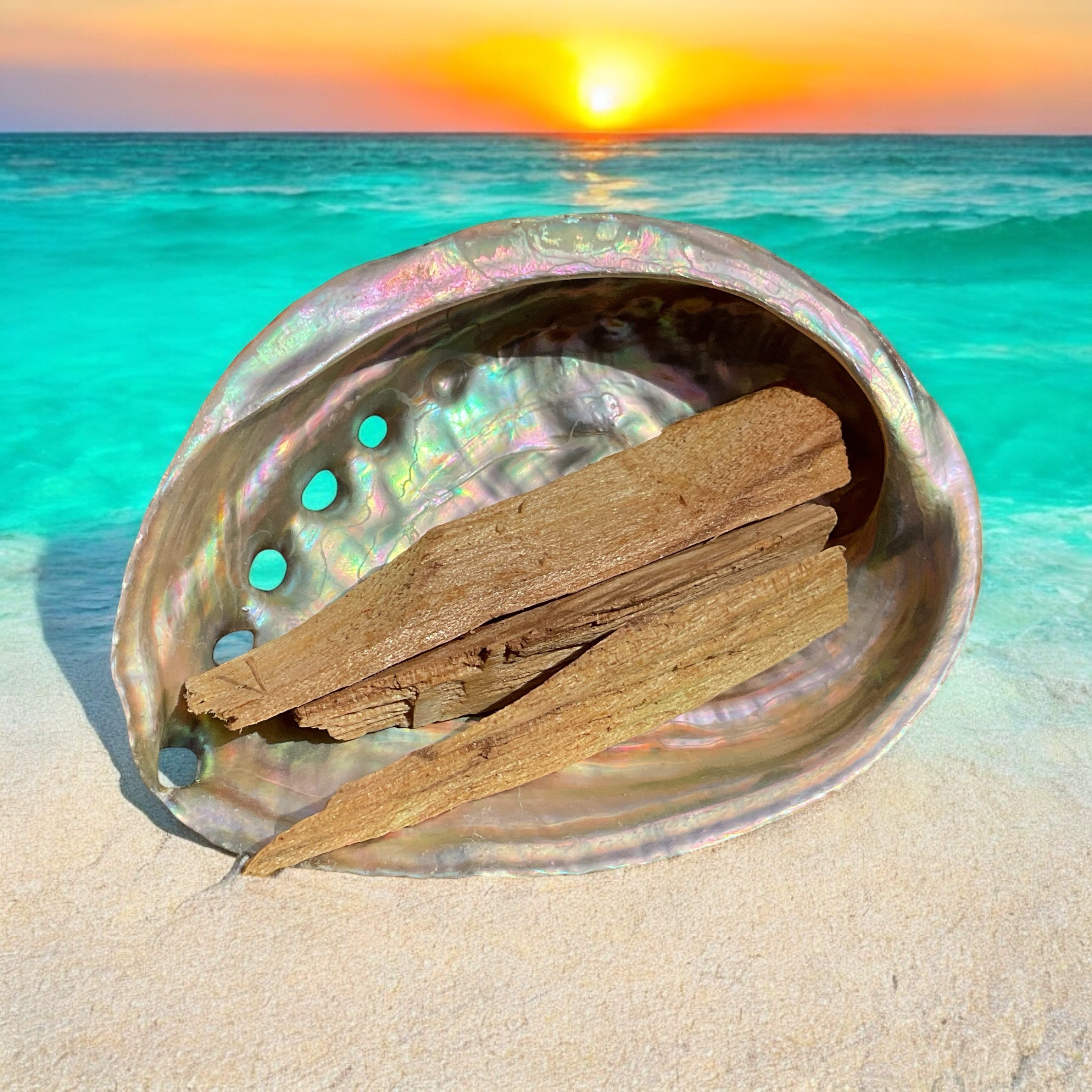 Steinfixx® Dekoschale Abalone Paua Muschel I Räucherset mit Palo Santo Holz günstig online kaufen