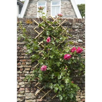 Nature Pergola Garten Gitter 70x180 cm Bambus 6040721, (1-tlg)