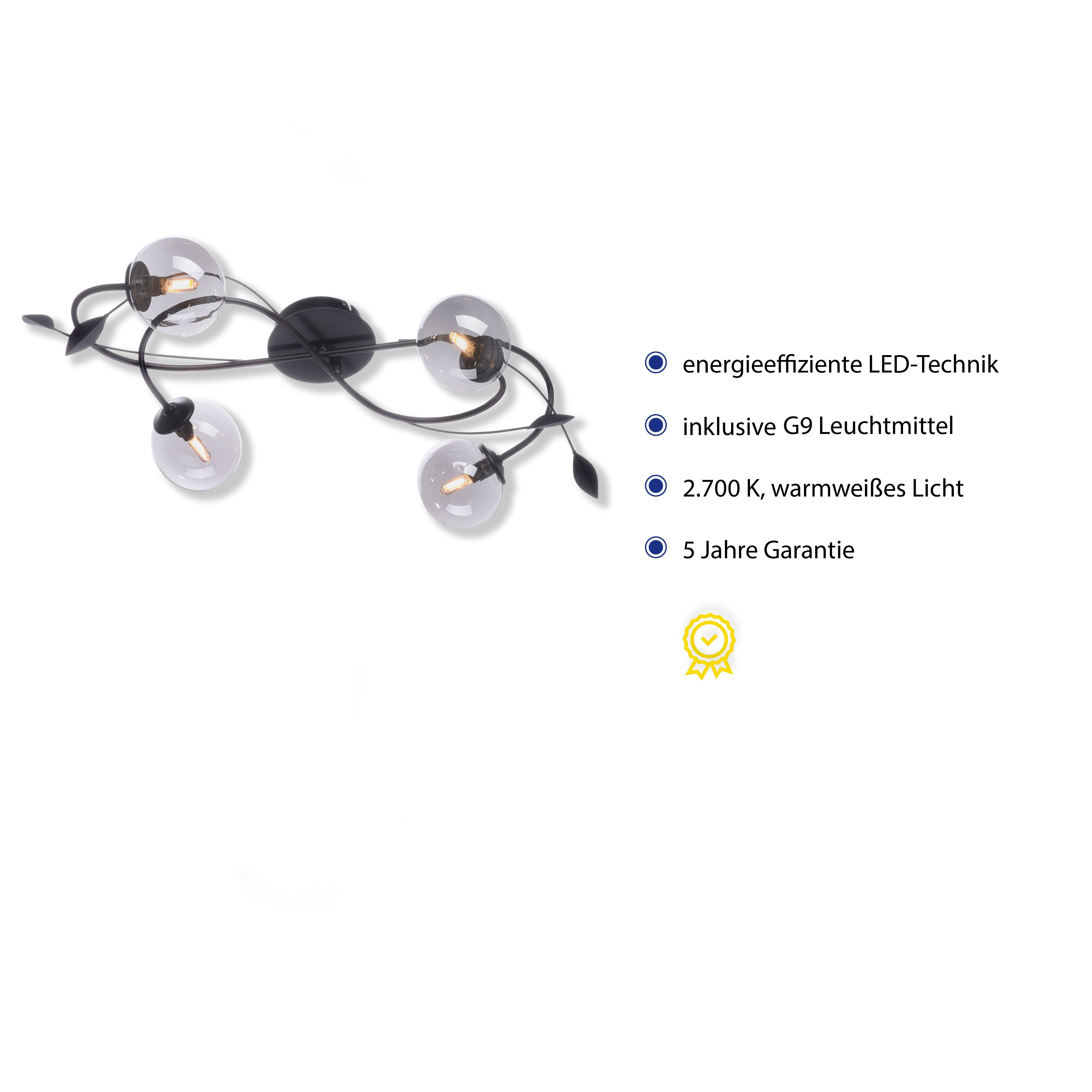 Paul Neuhaus LED Deckenleuchte WIDOW, LED wechselbar, Warmweiß, LED,  Moderne, schwarze Lackierung