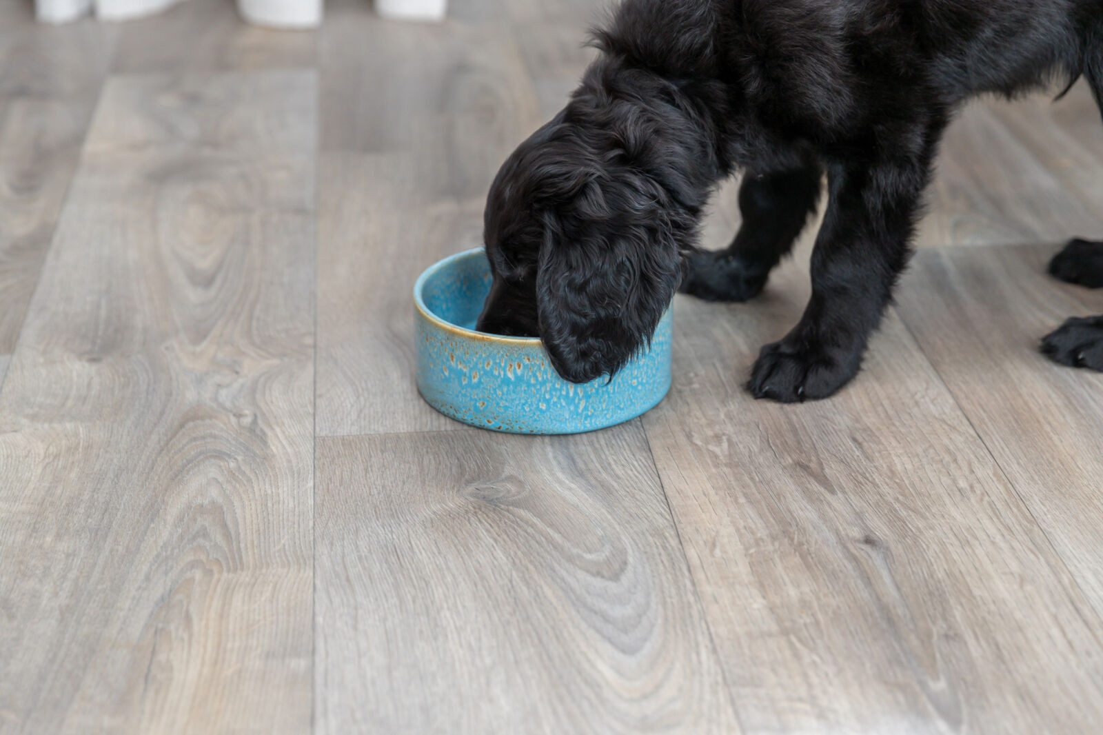 TRIXIE Napf Keramiknapf - blau - 0,4 l/ø 13 cm