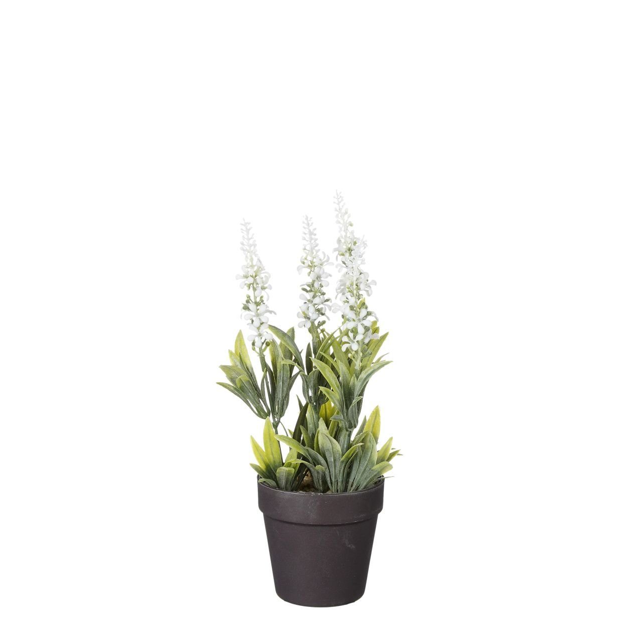 Kunstpflanze Mica künstlicher Lavendel im Topf weiß 24 x 10 cm, Mica Decorations