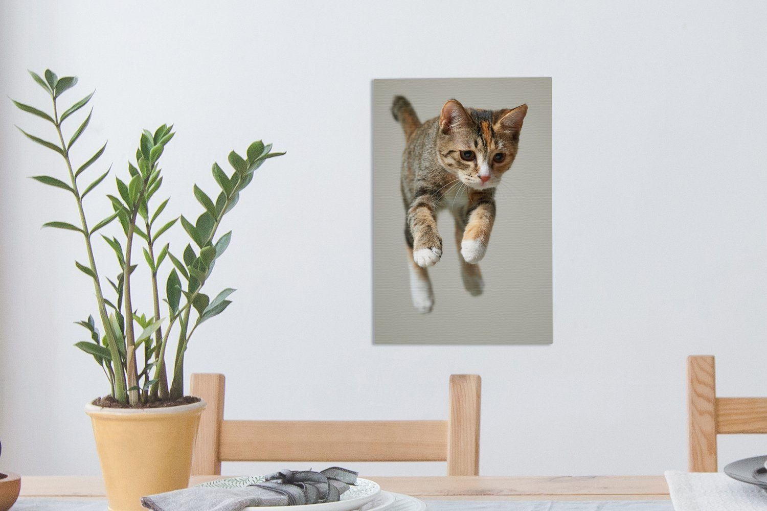 bespannt Gemälde, (1 fertig Zackenaufhänger, 20x30 Katze, inkl. cm Leinwandbild St), Springende OneMillionCanvasses® Leinwandbild