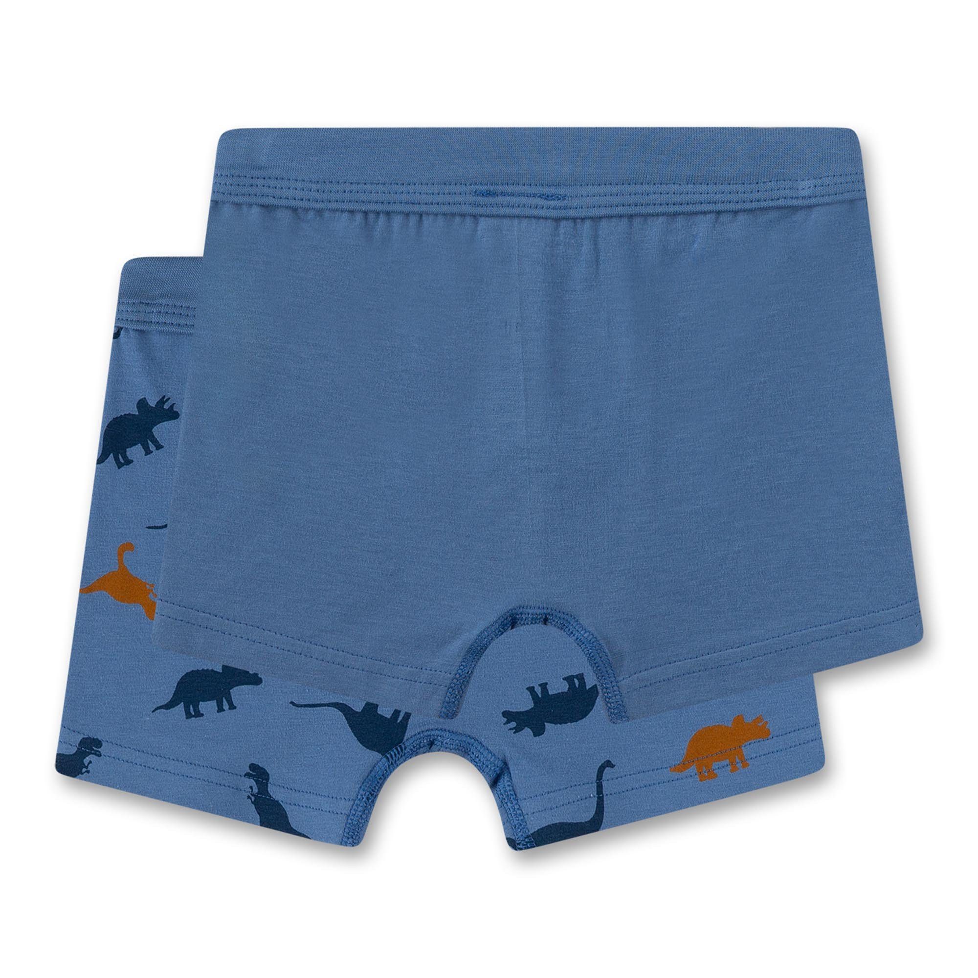 Sanetta Boxer Jungen Boxershort 2er Pack Baumwolle (Packung, 2er Pack)