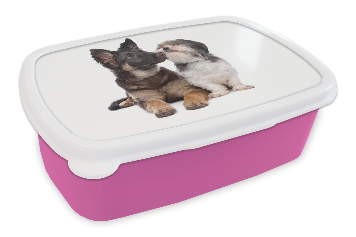 MuchoWow Lunchbox Boomer mit einem anderen Hund, Kunststoff, (2-tlg), Brotbox für Erwachsene, Brotdose Kinder, Snackbox, Mädchen, Kunststoff rosa