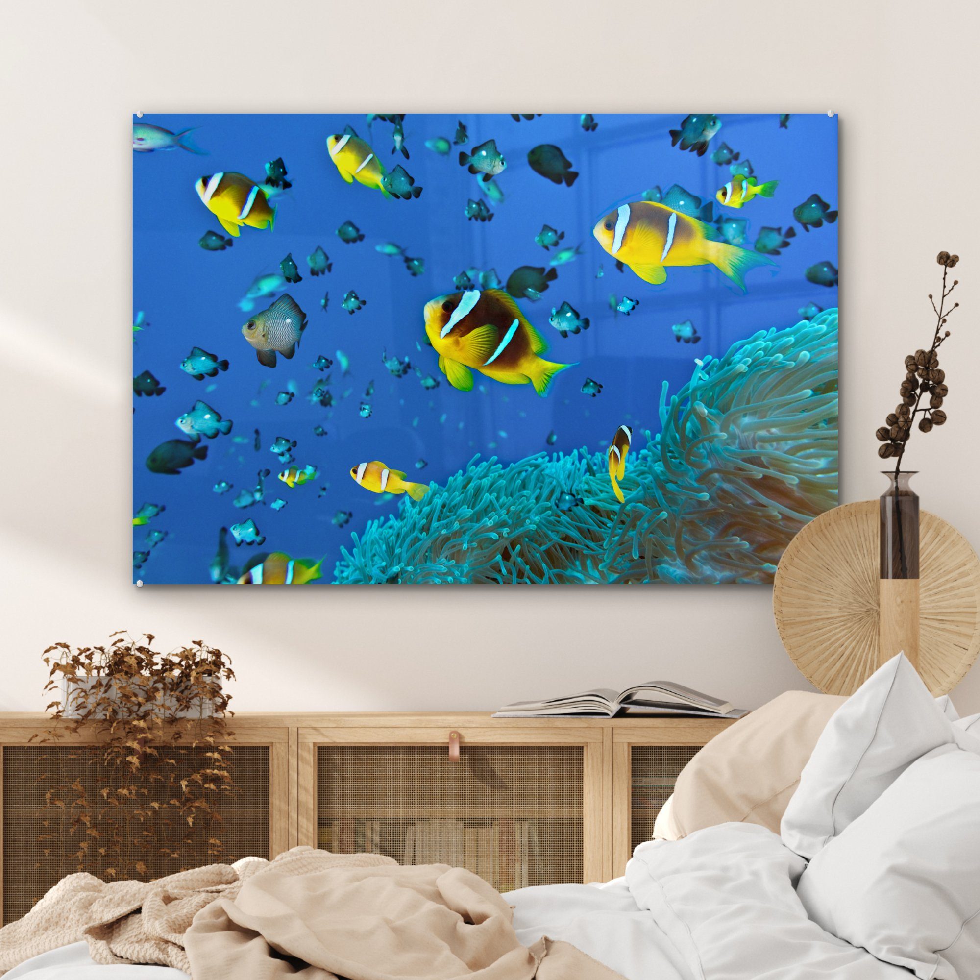 Schlafzimmer - Fische Wohnzimmer & (1 Acrylglasbilder Gruppe, St), Acrylglasbild Korallen - MuchoWow