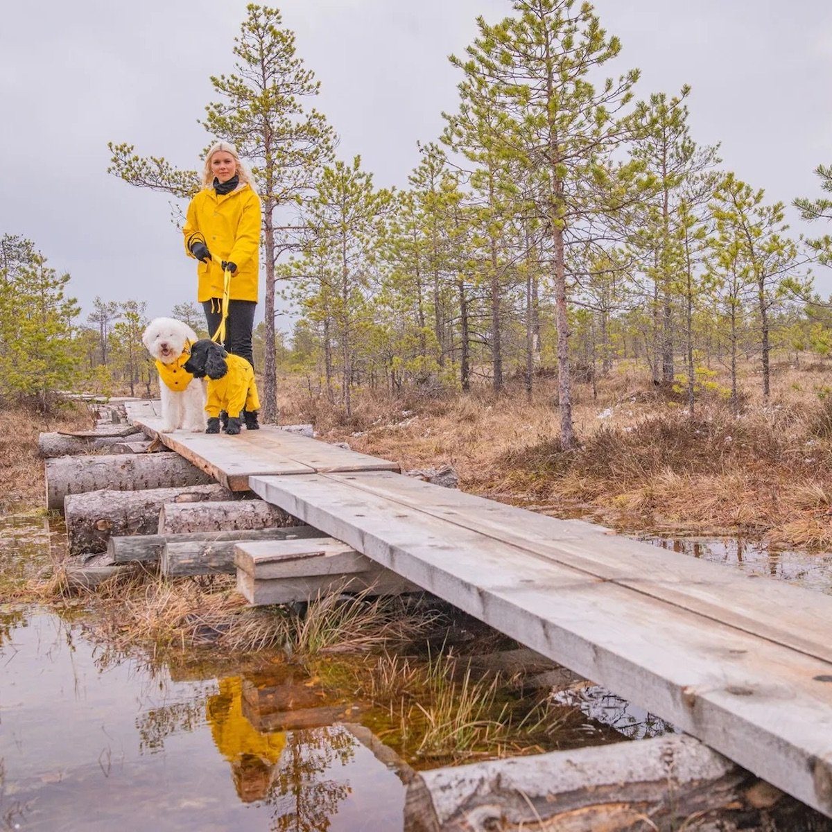 Rukka Hunderegenmantel Hunde-Regenmantel "Stream Raincoat" gelb
