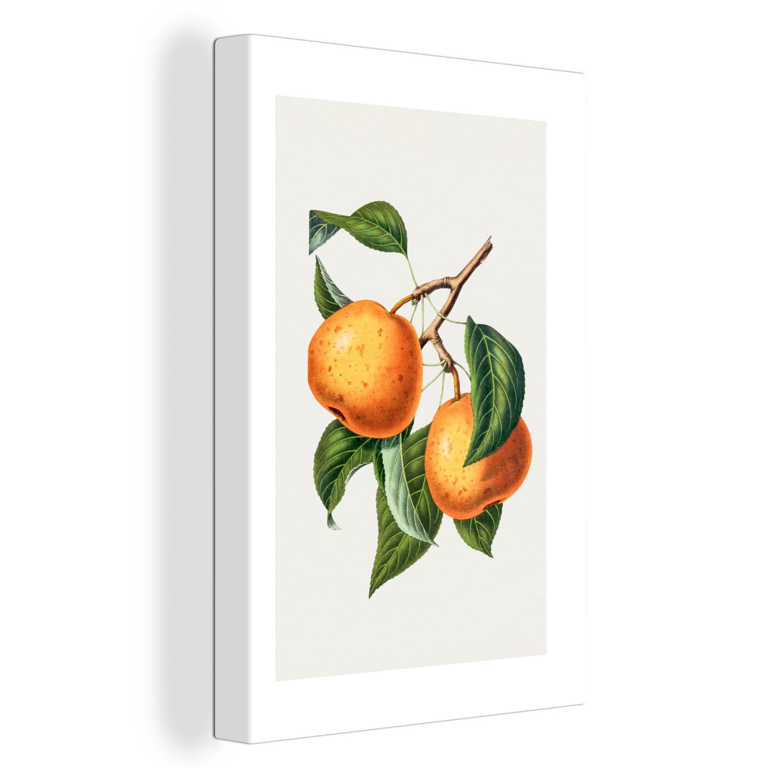 OneMillionCanvasses® Leinwandbild Lebensmittel - Orange - Obst, (1 St), Leinwandbild fertig bespannt inkl. Zackenaufhänger, Gemälde, 20x30 cm