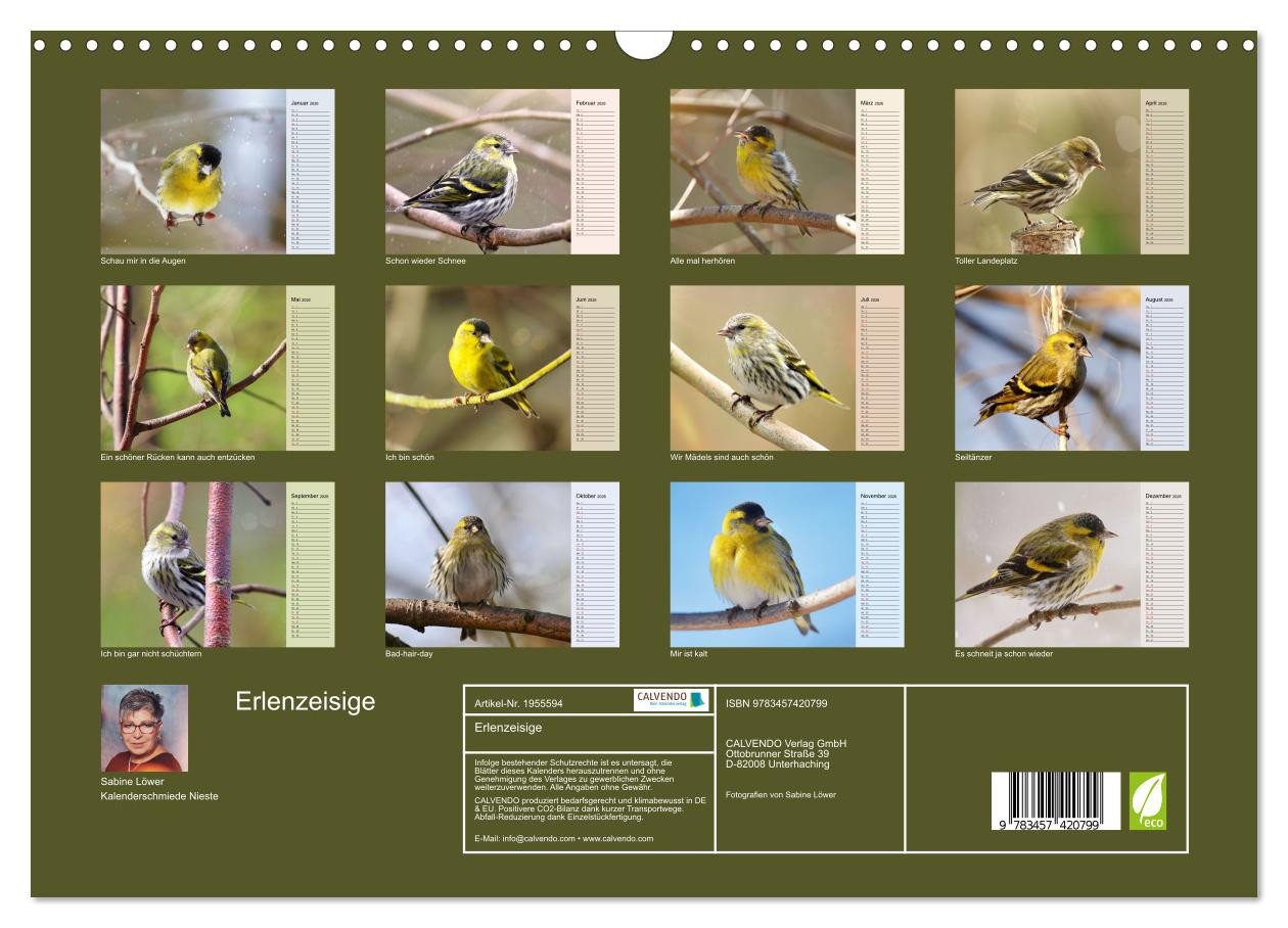 Thumbnail - CALVENDO Wandkalender Erlenzeisige (Wandkalender 2026 DIN A3 quer), CALVENDO Monatskalender