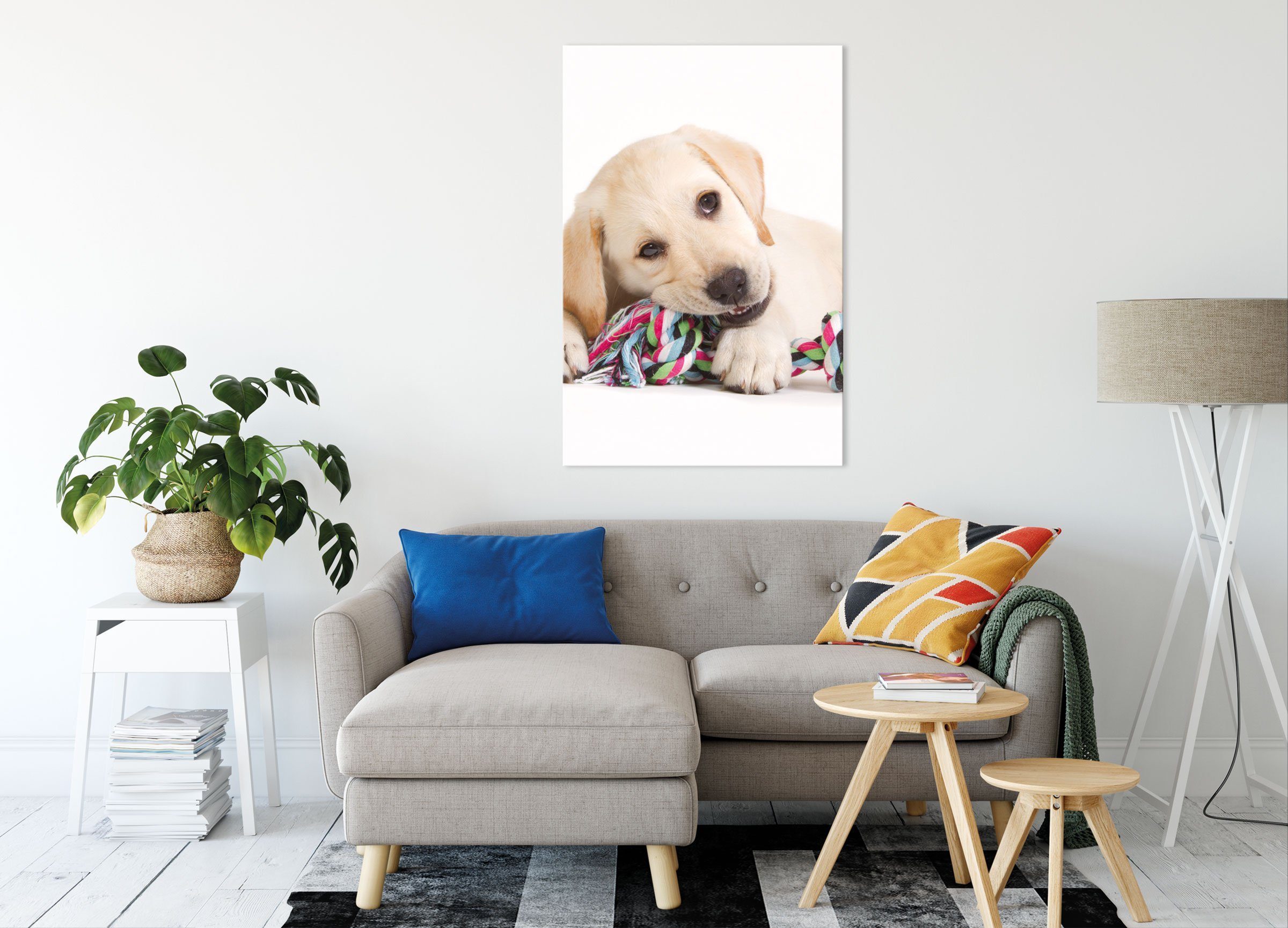 Leinwandbild Leinwandbild Zackenaufhänger Hundewelpe (1 inkl. Hundewelpe, bespannt, St), Pixxprint fertig