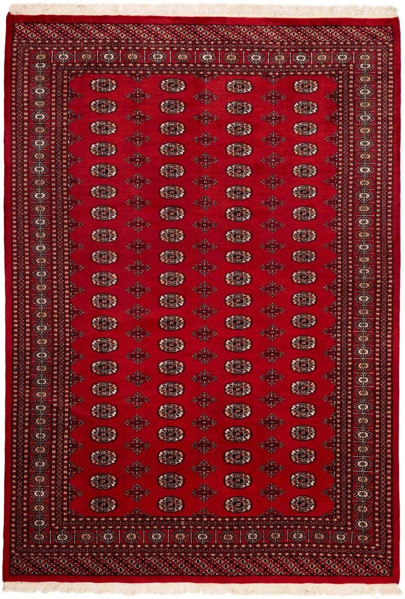 Orientteppich Pakistan Buchara 2ply 202x290 Handgeknüpfter Orientteppich, Nain Trading, rechteckig, Höhe: 8 mm | Kurzflor-Teppiche