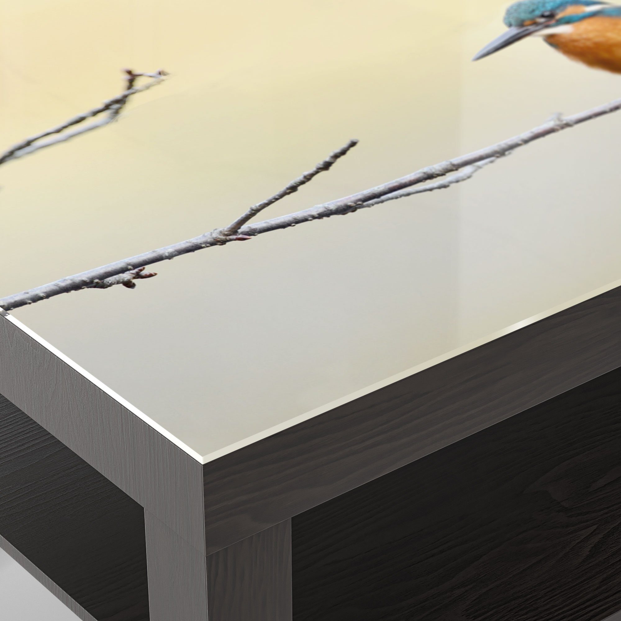 DEQORI 'Königsfischer Zweig', auf modern Glas Glastisch Beistelltisch Couchtisch Schwarz