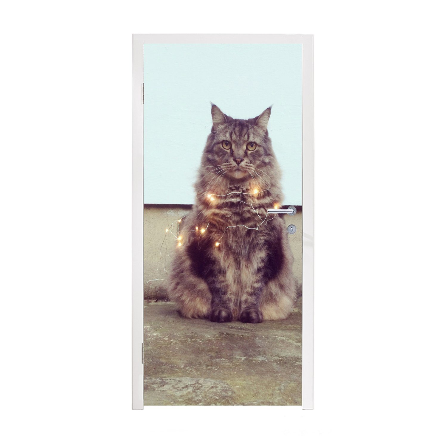 MuchoWow Türtapete Schöne Beleuchtung für die Maine Coon Katze, Matt, bedruckt, (1 St), Fototapete für Tür, Türaufkleber, 75x205 cm