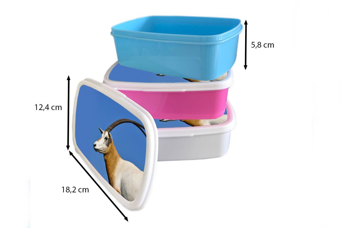 Erwachsene, Mädchen Kunststoff, - für für (2-tlg), Brotbox Horn weiß Jungs Ziege, Kinder Brotdose, und Tier - und Lunchbox MuchoWow